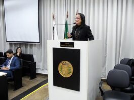 Sandra Perpétuo pede apoio da base governista em favor dos servidores
