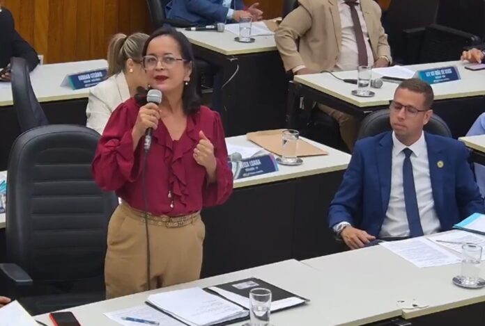 Câmara aprova criação do Dia do Auxiliar de Serviços Públicos em Valadares